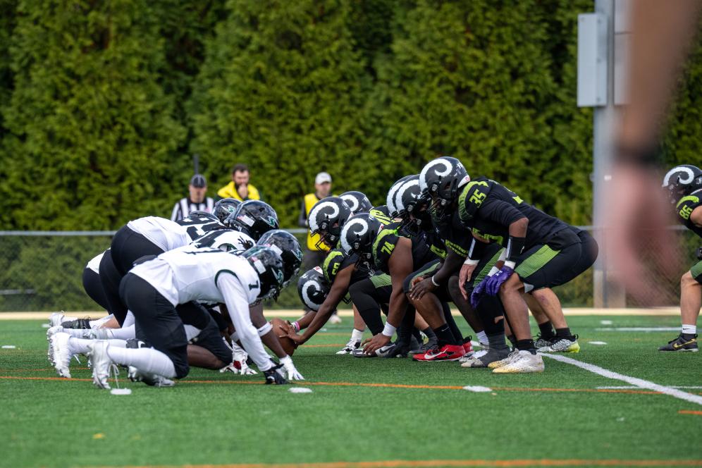 The DelVal Football Team in position to make a play on the football field.