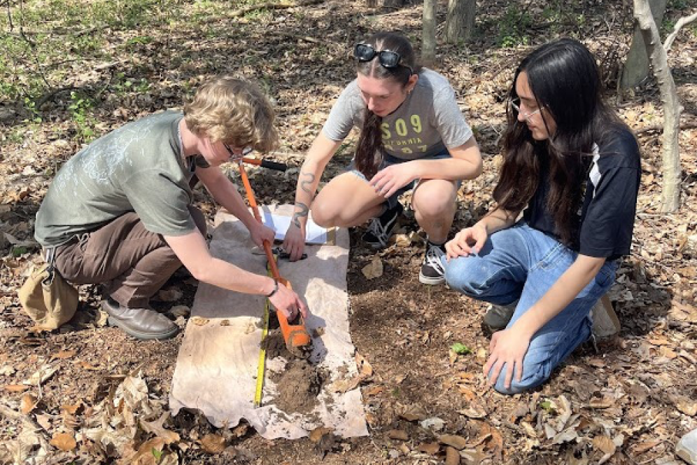 Three soil judging team members are using tools in a soil pit to analyze the soil. 