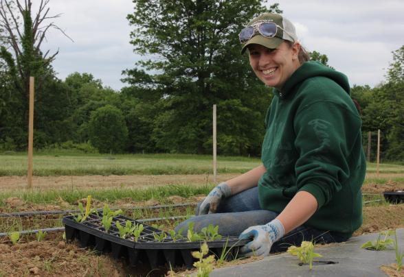 A student planing seedlings in a field