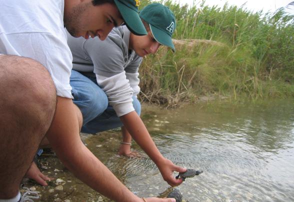 2 students releasing turtles into the wild