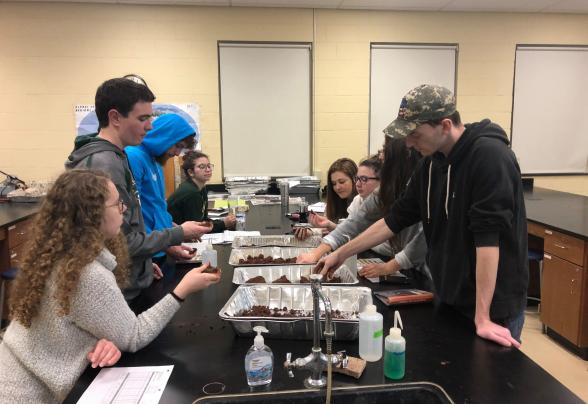 Soil judging in the classroom