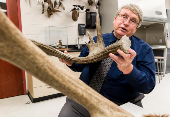 Professor Reg Hoyt is speaking and pointing to a fossil. 