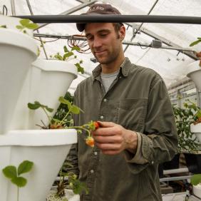 male student working in greenhouse