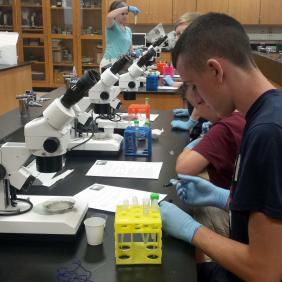 Students working with microscopes in a lab.