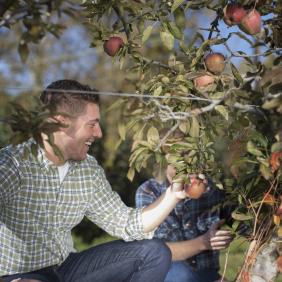 A student picking an apple grown in an orchard