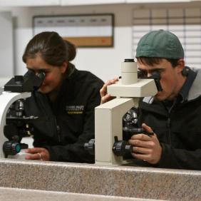 Students examine slides on microscopes