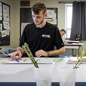 A student working at a design table with drawing tools and plant samples.