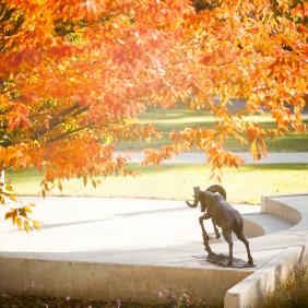 A bronze statue of a ram, DelVal's mascot.