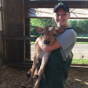 A student holding a calf