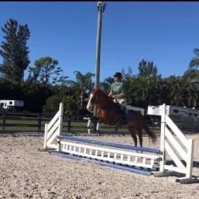 Jillian jumping with a horse