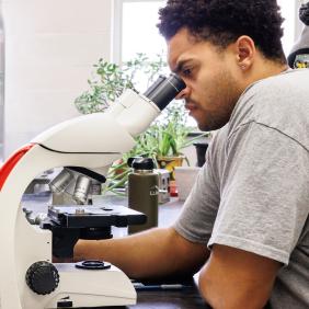 A male student is looking through a microscope. 