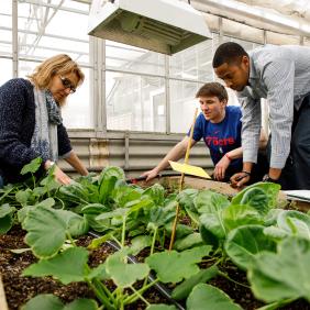 Students in the greenhouse. 