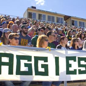 Homecoming game of 2013, the crowd at the stadium