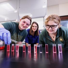 Melissa Langston, professor of chemistry, with two students in the chemistry lab.