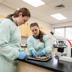 Kim Reichner working with a student in the biology lab. 