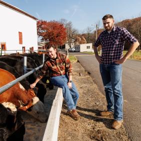 Two male students are at the dairy barn standing by cows lined up for feeding. 