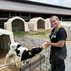 A student is at an internship in the dairy industry feeding a calf. 