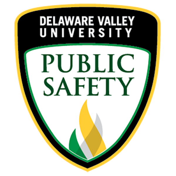 Public Safety Badge