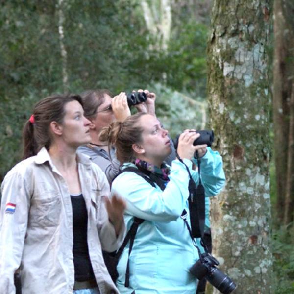 Three students birdwatching with binoculars