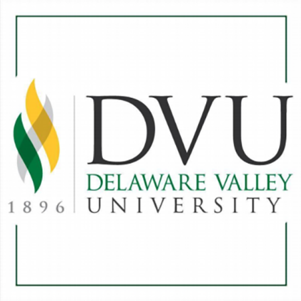 DVU Logo