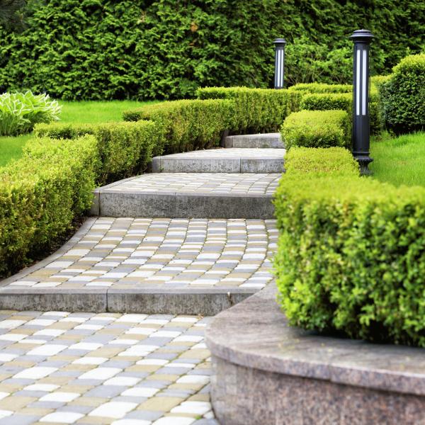 Outdoor photo nicely landscaped and hardscaped steps.