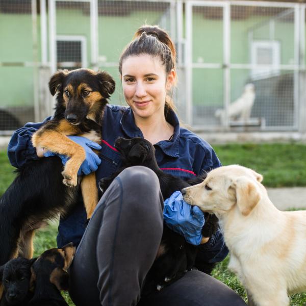 A young woman plays with two dogs