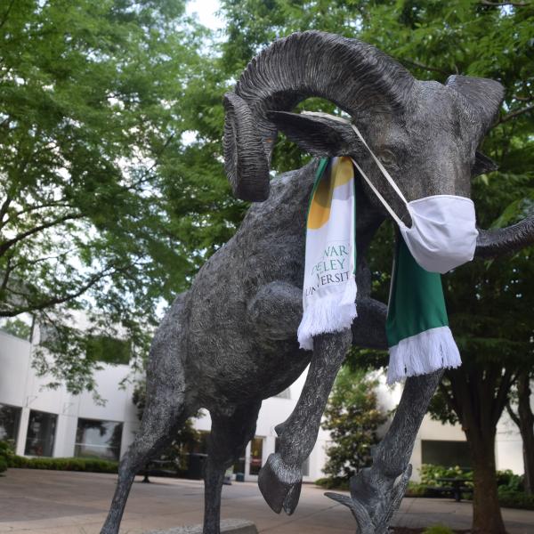 The Ram statatue wearing a DelVal scarf and a white face scout mask.