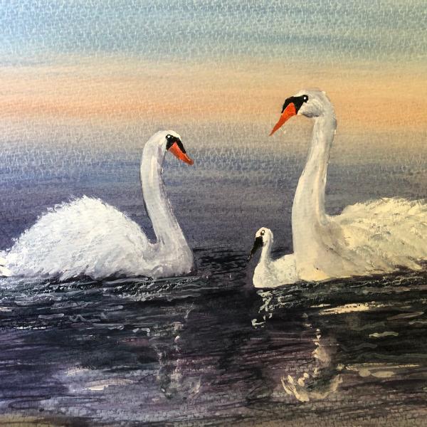Swans