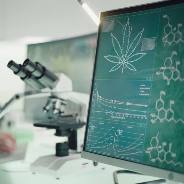A mircoscope is seated next to a computer with hemp diagrams. 