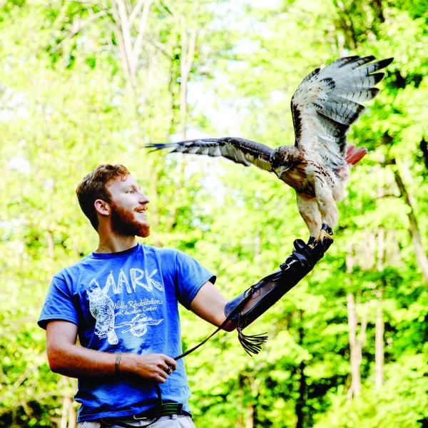 Student holding a hawk with its wings spread out