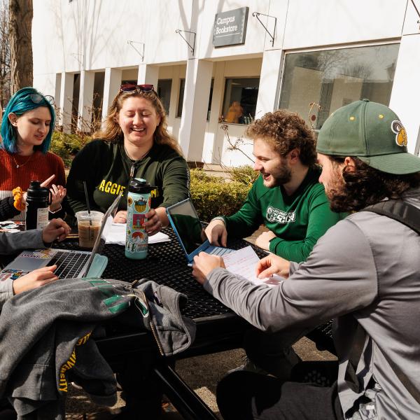Students at a bench outdoors laughing and typing on their laptops. 