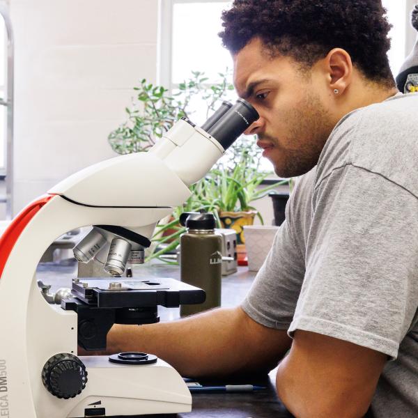 STEM Student