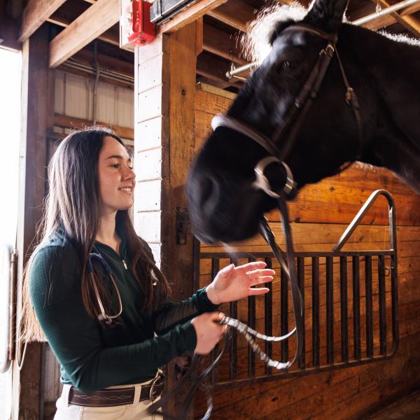 An equine alumna is photographed petting a black horse in DelVal's equestrian center.