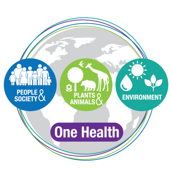 The One Health Logo