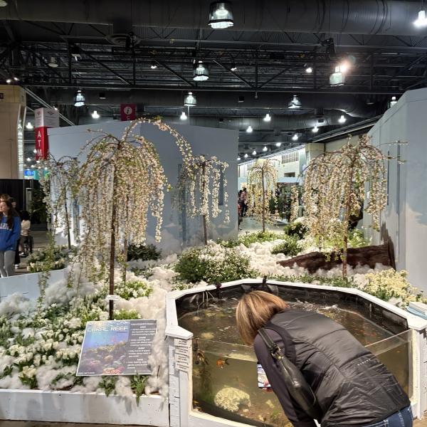 Philadelphia Flower Show display with small weeping willow trees and simulated clouds surrounding. 