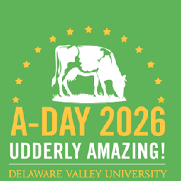 The A-Day 2026 Logo featuring a cow and a half-circle of stars around it. 