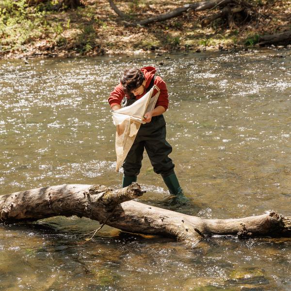 A male student is standing in a stream of water while holding a net. 