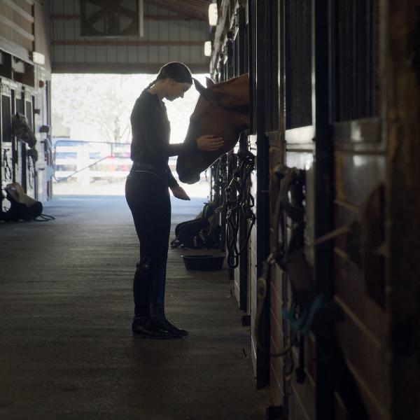 An equine student is in the equine center with her hands on a horses head.