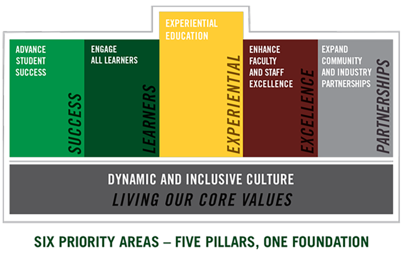 An infographic describing the pillars of DelVal's strategic plan.