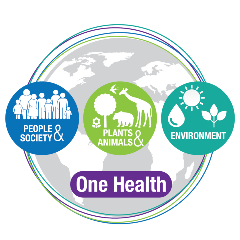 The DelVal One Health Logo includes the Earth with three circles showing people and society, plants and animals, and the environment.   