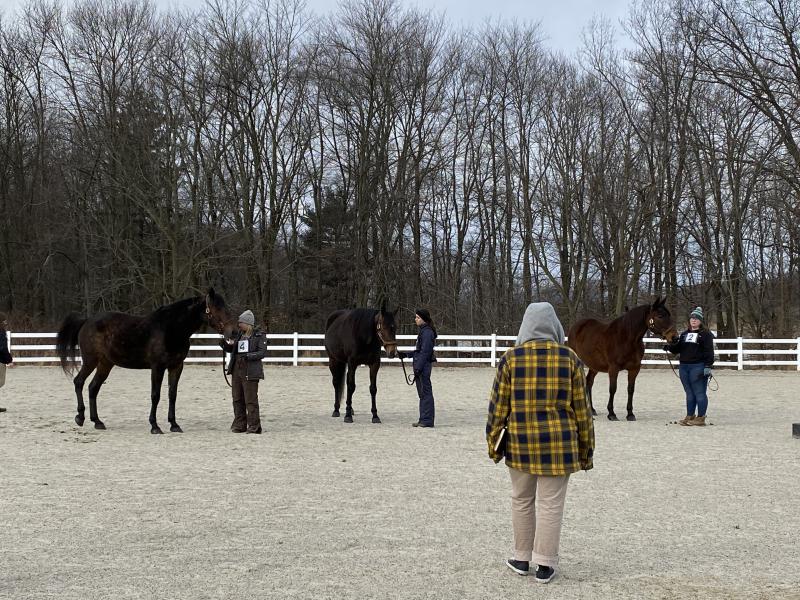 NESA equestrian at Delaware Valley University