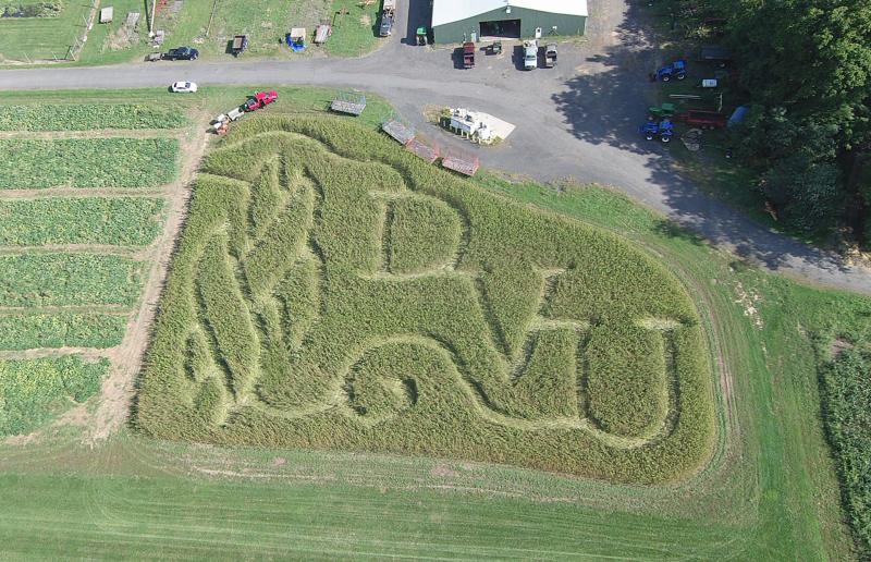 DelVal Aerial View of the Hemp Maze