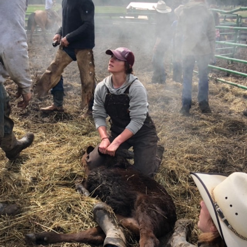 Chrissy Lambert holding an animal in Montana fields alongside coworkers. 