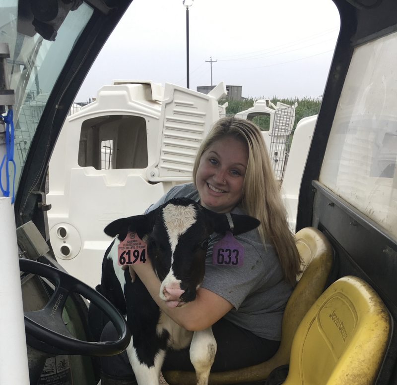 Alexandria is holding a baby cow in a truck. 