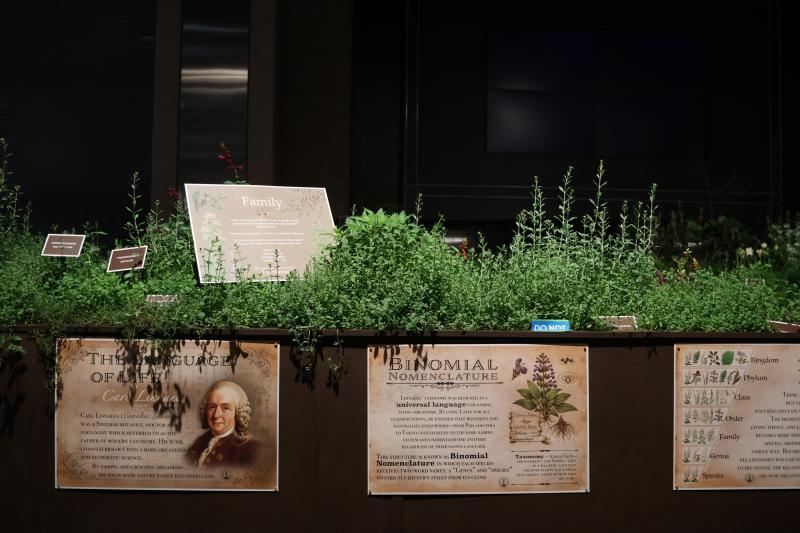 DelVal's student-built display at the Philadelphia Flower Show