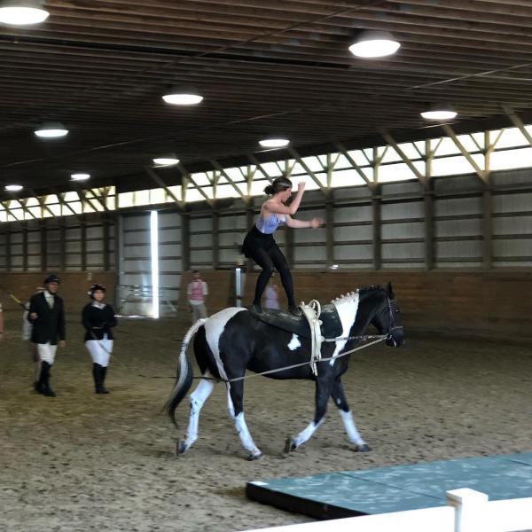 Woman standing on a horse. 
