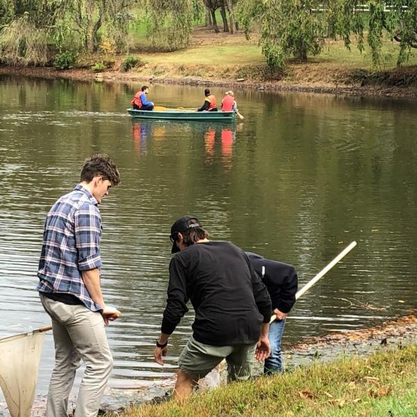 Students on the edge of a lake with nets.