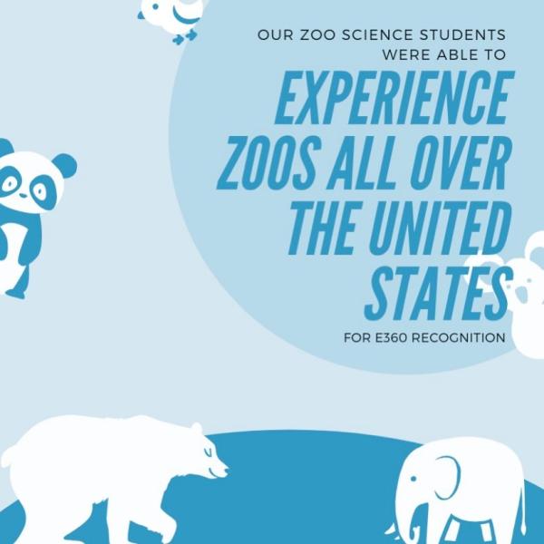 E360 zoo poster with pandas, bears and elephants. 