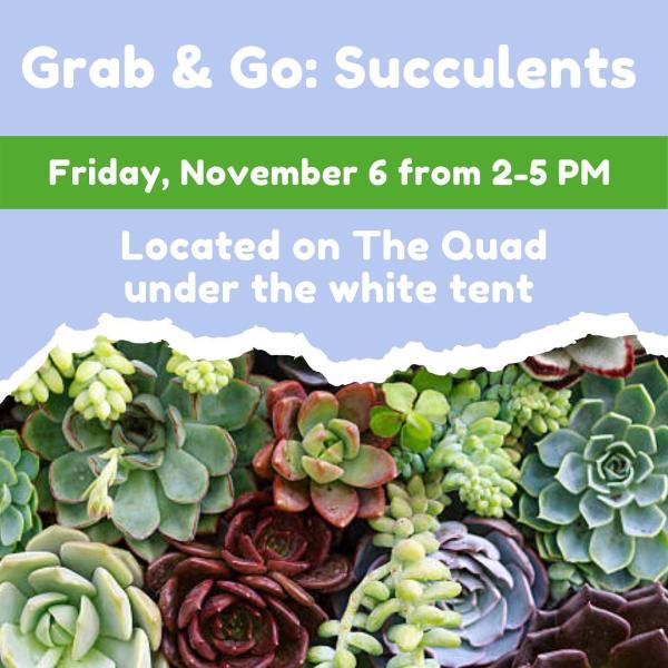 Grab a free succulent plant tomorrow on The Quad!