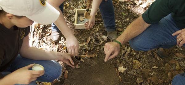 Students and professor examining leaves and collecting samples